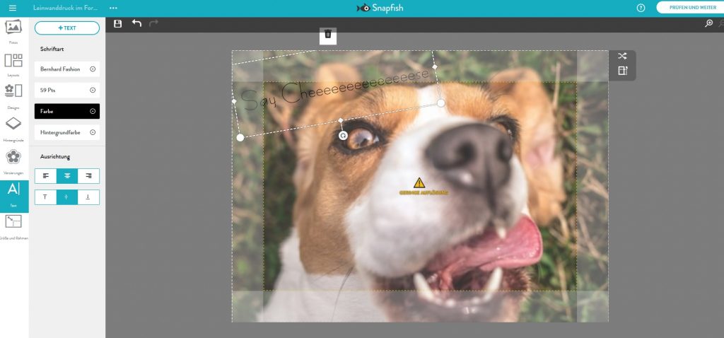 Hundeselfie Bearbeitung