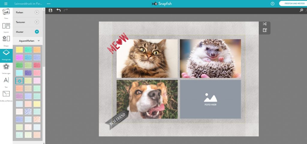Leinwand gestalten mit lustigen Tierfotos